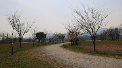 country road in autumn