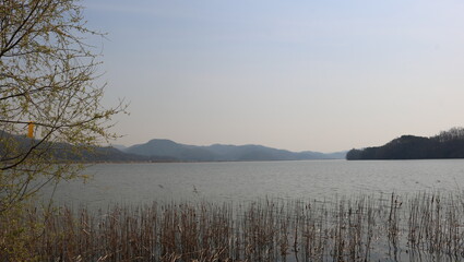 morning on the river