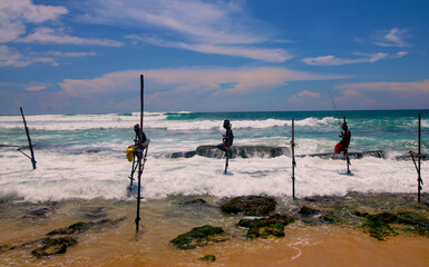 Fototapeta na wymiar fishing on the beach in mirissa srilanka