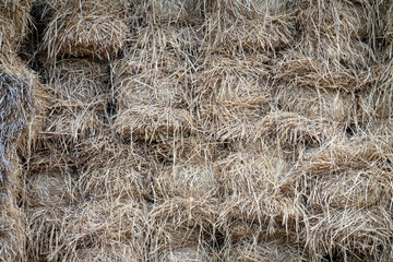 close up of hay in farm