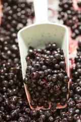 Fresh summer blueberries on market 