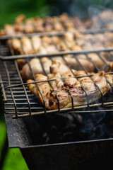 Chicken meat grilling on the brazier. Selective focus.