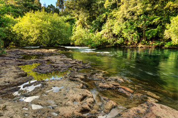 Rock pools beside a river running through forest. Taken at Okere Falls, New Zealand