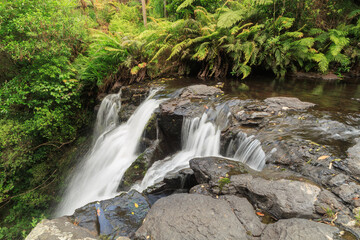 Kaiate Falls, New Zealand. Water cascades over a rock ledge, surrounded by native forest 