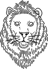 Lion Head Line Art