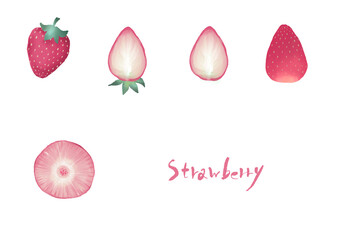 苺、断面セットイラスト