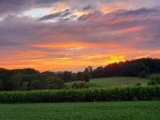 Obraz premium sunset over the field