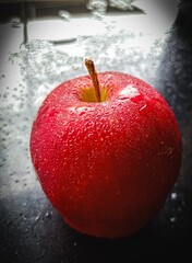 I picked a good one!