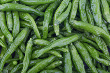 Green Organic Shishito Peppers in a bunch.