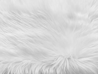Obraz premium White soft cotton sheep wool fluffy fur carpet texture background