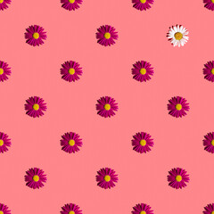 White and pink daisies on a pink background with hard shadows, flat flat, top view, seamless texture. Bright seamless summer background for fabric or greeting card. Flower pattern, design