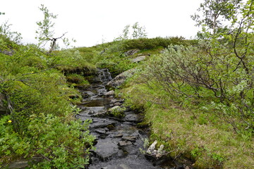 River with drinking water on a hiking trail in Sweden