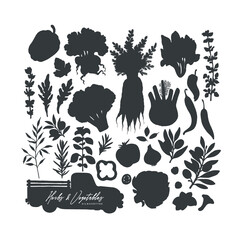 Vegetables and herbs vector silhouettes collection. Organic farm food set. Vector illustration