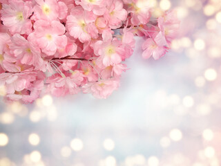 Obraz na płótnie Canvas spring background flowering white sakura cherry flowers tree and abstract bokeh