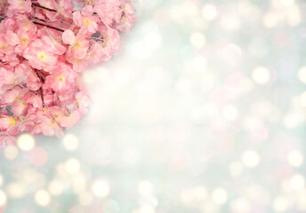 spring background flowering white sakura cherry flowers tree and abstract bokeh