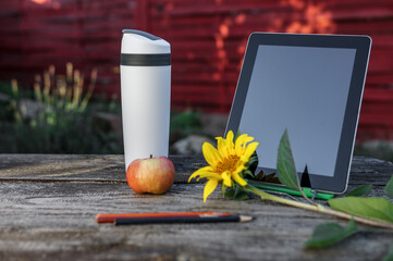 Studying homework  online lesson at home, social distance during quarantine, self-isolation, online...