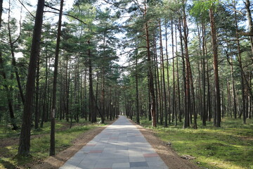 A wonderful promenade to the sea for pedestrians and cyclists.