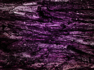 Old wood texture background