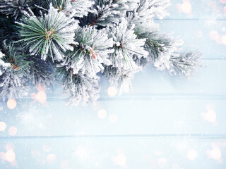 winter background with fir branches cones and snow