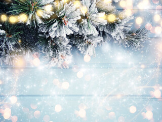 Fototapeta na wymiar winter background with fir branches cones and snow