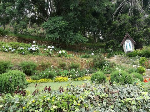 Adisham Bungalow Garden