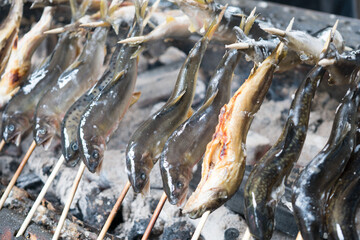 龍泉洞のアユとイワナの塩焼き