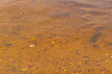 River surface with sand and small stones at the bottom on a sunny summer day
