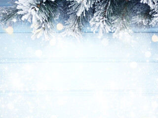 winter background with fir branches cones and snow © Anastasia Tsarskaya