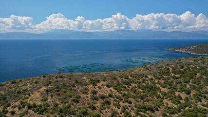 Aerial drone photo of large fish farming unit of sea bass and sea bream in growing cages in calm deep waters of Galaxidi area, Greece