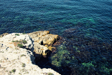 Summer and beautiful nature. Vacation.