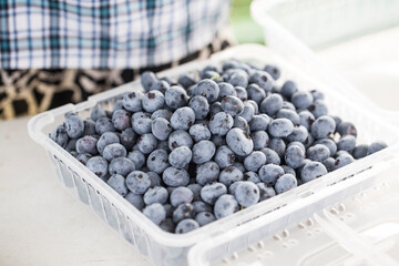 Fresh natural blueberries in plastic packaging isolated.
