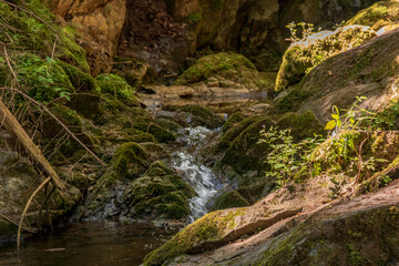Wutachschlucht - Schwarzwald - Baden Württemberg