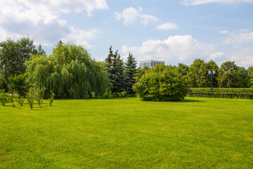 A nature Park with bright green willows and neatly trimmed grass against a blue cloudy sky and a copy space on Poklonnaya hill in Moscow Russia