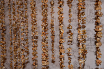 The nuts are strung on the thread to prepare the Caucasian sweetness churchkhela. Walnut on a string.