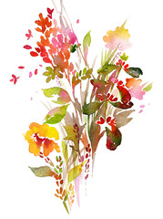 Watercolor floral bouquet. Painting made of meadow plants, herbs and flowers isolated on white. Bright botanical artwork for printed pictures, postcard, posters and illustrations.