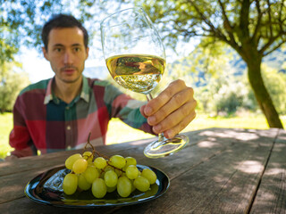 Obraz premium Young handsome man looks a glass of white wine that holds in hand for wine tasting experience, on the table there is also a bunch of grapes. Wine culture