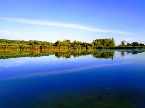 River landscape. River with trees against the blue sky.