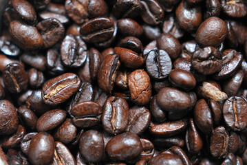 Freshly roasted coffee beans close up