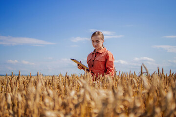 Woman caucasian technologist agronomist with tablet computer in the field of wheat checking quality and growth of crops for agriculture. Agriculture and harvesting concept.