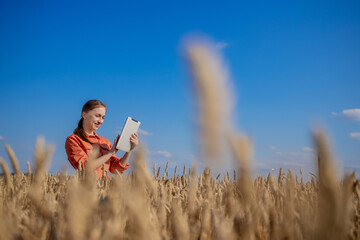 Naklejka na ściany i meble Woman caucasian technologist agronomist with tablet computer in the field of wheat checking quality and growth of crops for agriculture. Agriculture and harvesting concept.