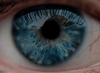 Eye