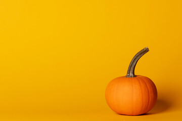 Halloween pumpkin on orange