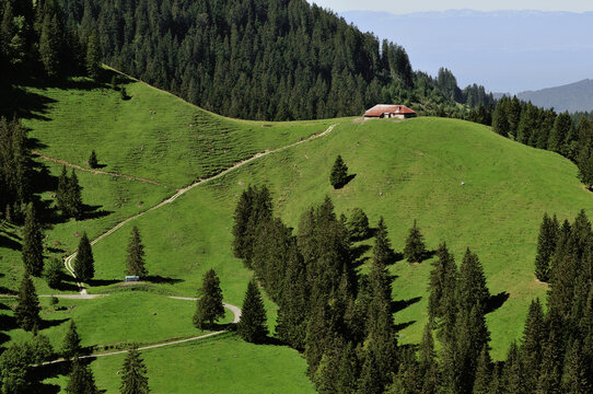 Switzerland, Fribourg canton, Les Paccots mountain station on Chatel-St-Denis district, alpin scenery around the Dent de Lys mount in summer