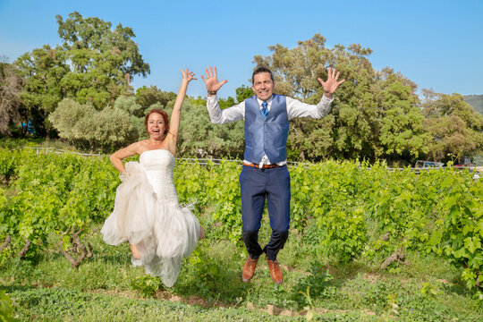 Vue d'un jeune couple de maries se rejouit heureux les bras dans l'air dans les vignes.