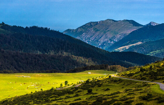 France, Hautes-Pyrenees, Col de la Hourquette d'Ancizan (1564 metres), between the valleys of Aure and Campan, pastoral area down to Payolle