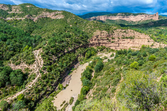 Spain, autonomous community of Aragon, Sierra y Ca�ones de Guara natural park, canyon of the Alcanadre river at Bierge, Aleppo pines and green oak tre