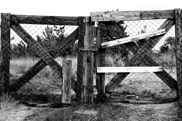 Stara brama wjazdowa do sadu z drzewami owocowymi - zdjęcie czarno-białe - obrazy, fototapety, plakaty