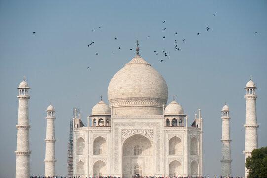 Nu&eacute;e d'oiseaux et de visiteurs au Taj Mahal - Inde