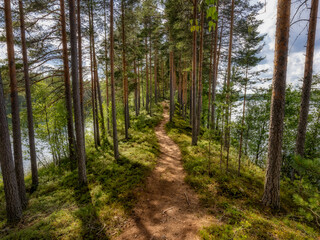 Obraz premium Forrest trail on cape in Finnish natural reserve