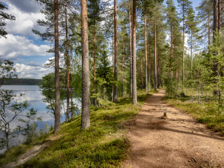 Forrest trail on lake bank in Finnish natural reserve
